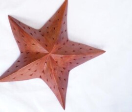 star fish